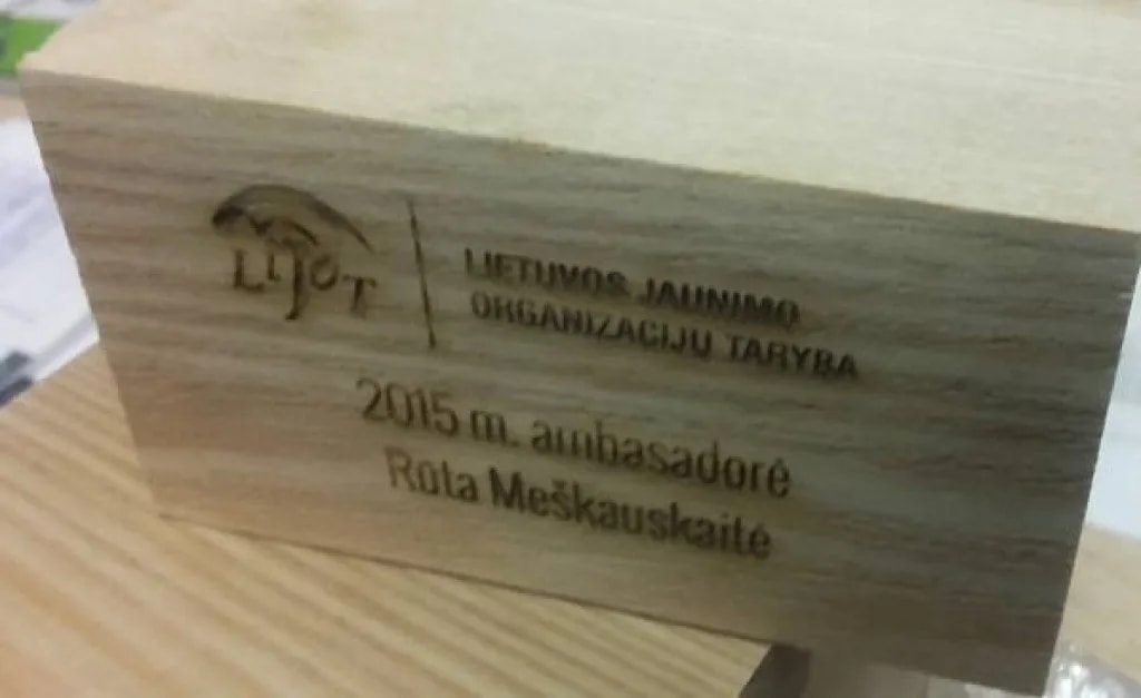 logo ant medienos